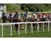  Carrera: P.AEGRI Monta: Sr.Lezama A. Caballo: Spanish Ruler